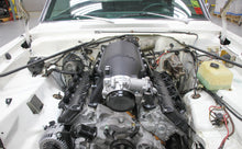 Load image into Gallery viewer, scamp_hi-ram_05.jpg