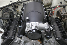 Load image into Gallery viewer, scamp_hi-ram_06.jpg